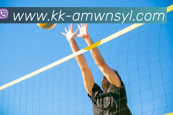 威尼斯人官网平台生态图